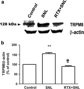 Fig. 6