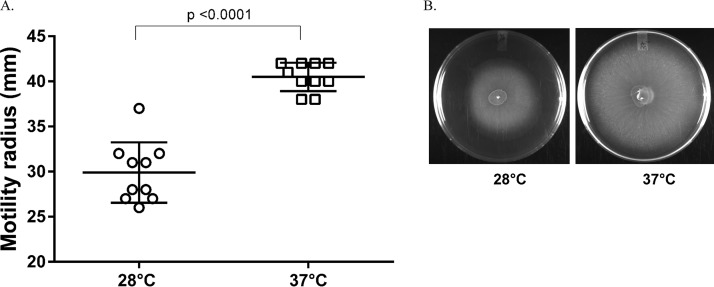 FIG 3