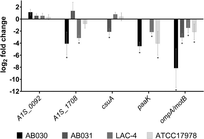 FIG 6