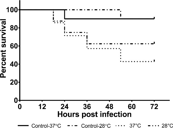 FIG 4