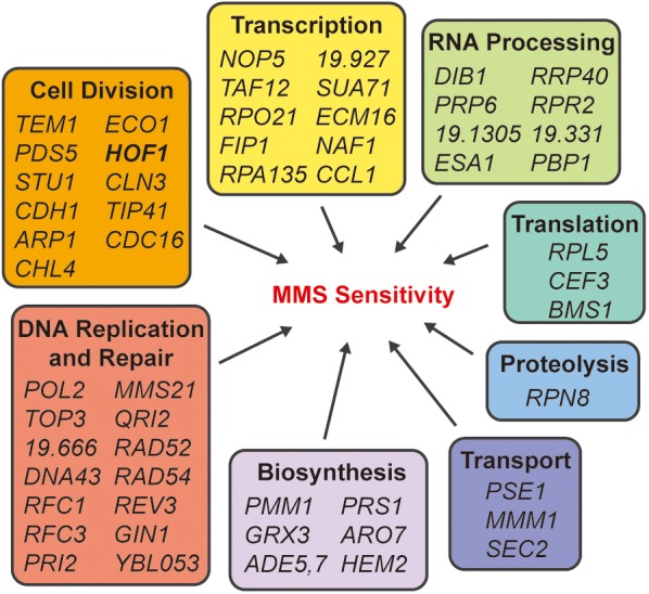 FIGURE 1: