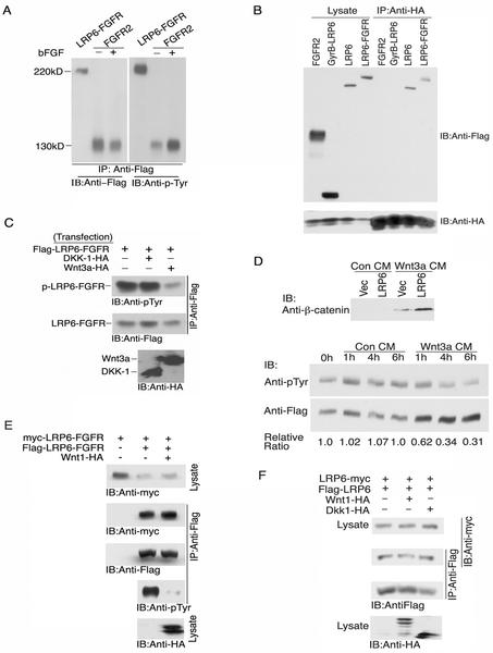 FIG. 6.