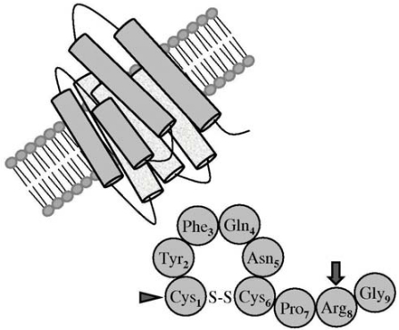 Fig. (1)