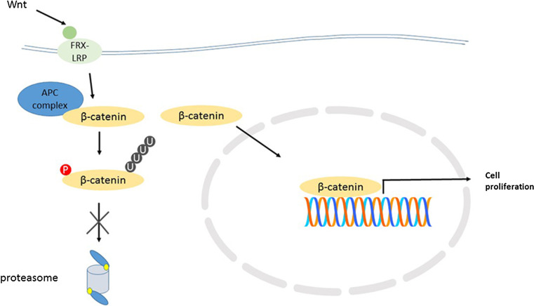 Fig. 3