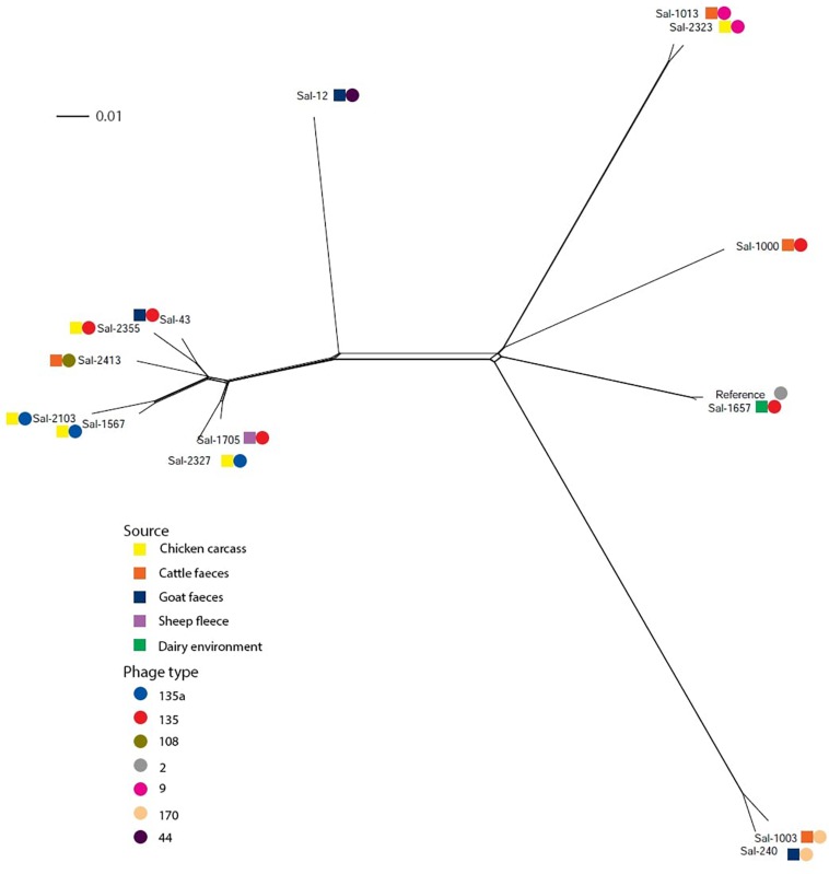 FIGURE 1