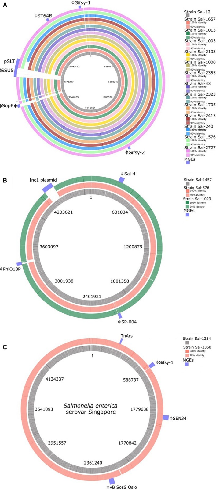 FIGURE 3