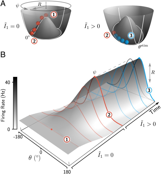 Fig. 2.