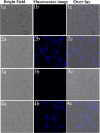 Fig. 11