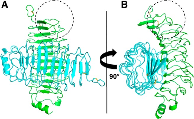 Figure 7.