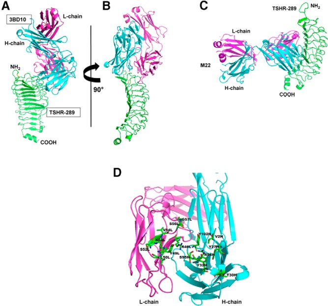 Figure 4.