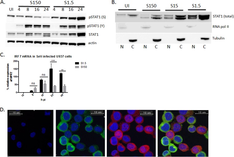 FIG 3