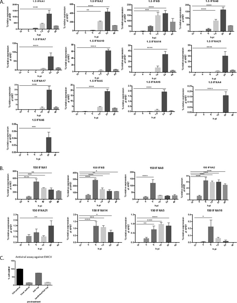 FIG 2