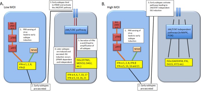 FIG 10