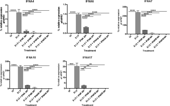 FIG 6