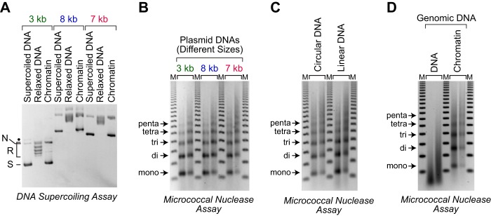 Figure 3.