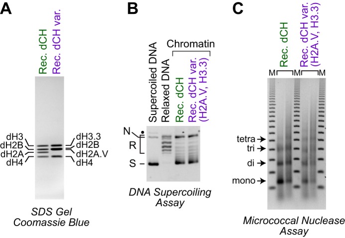 Figure 6.