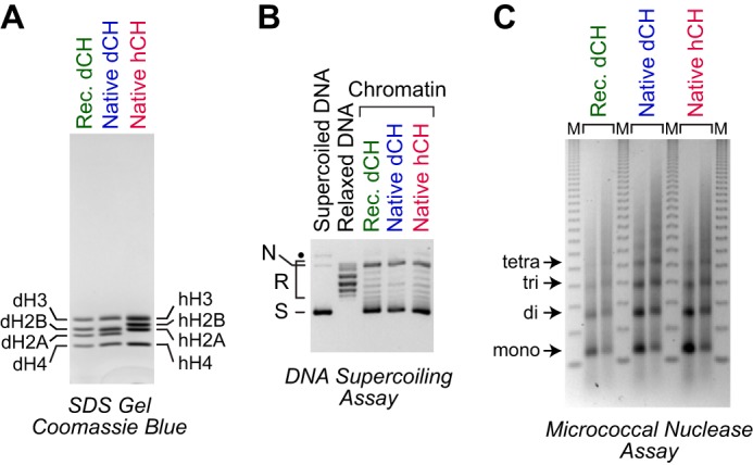 Figure 2.