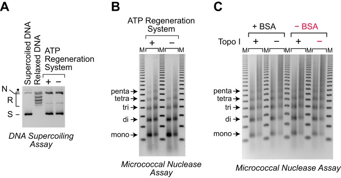 Figure 7.