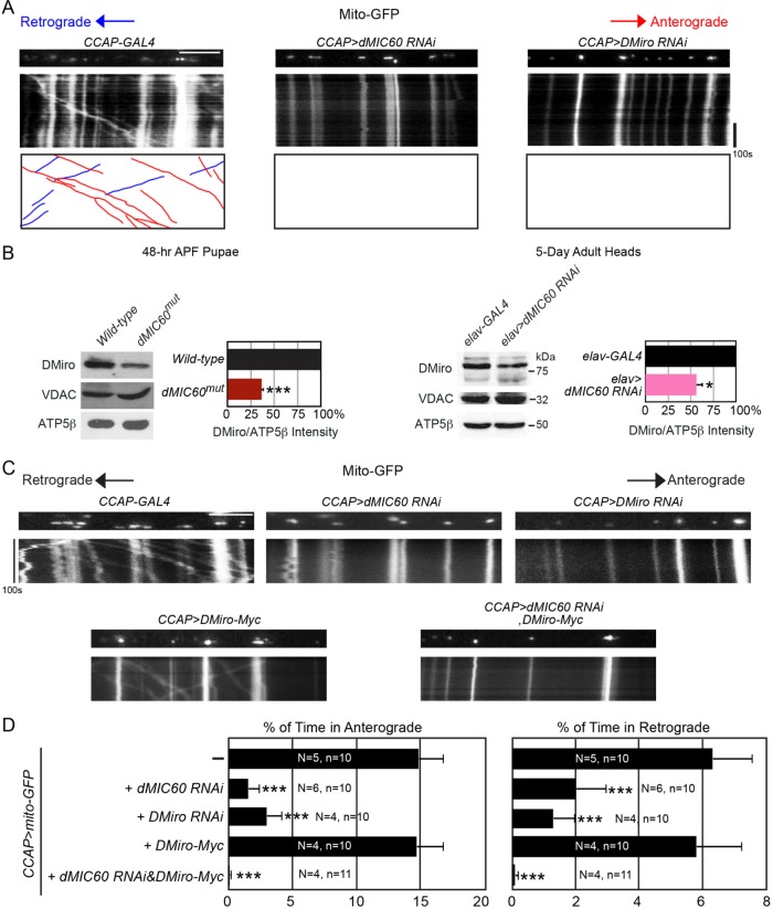 FIGURE 4: