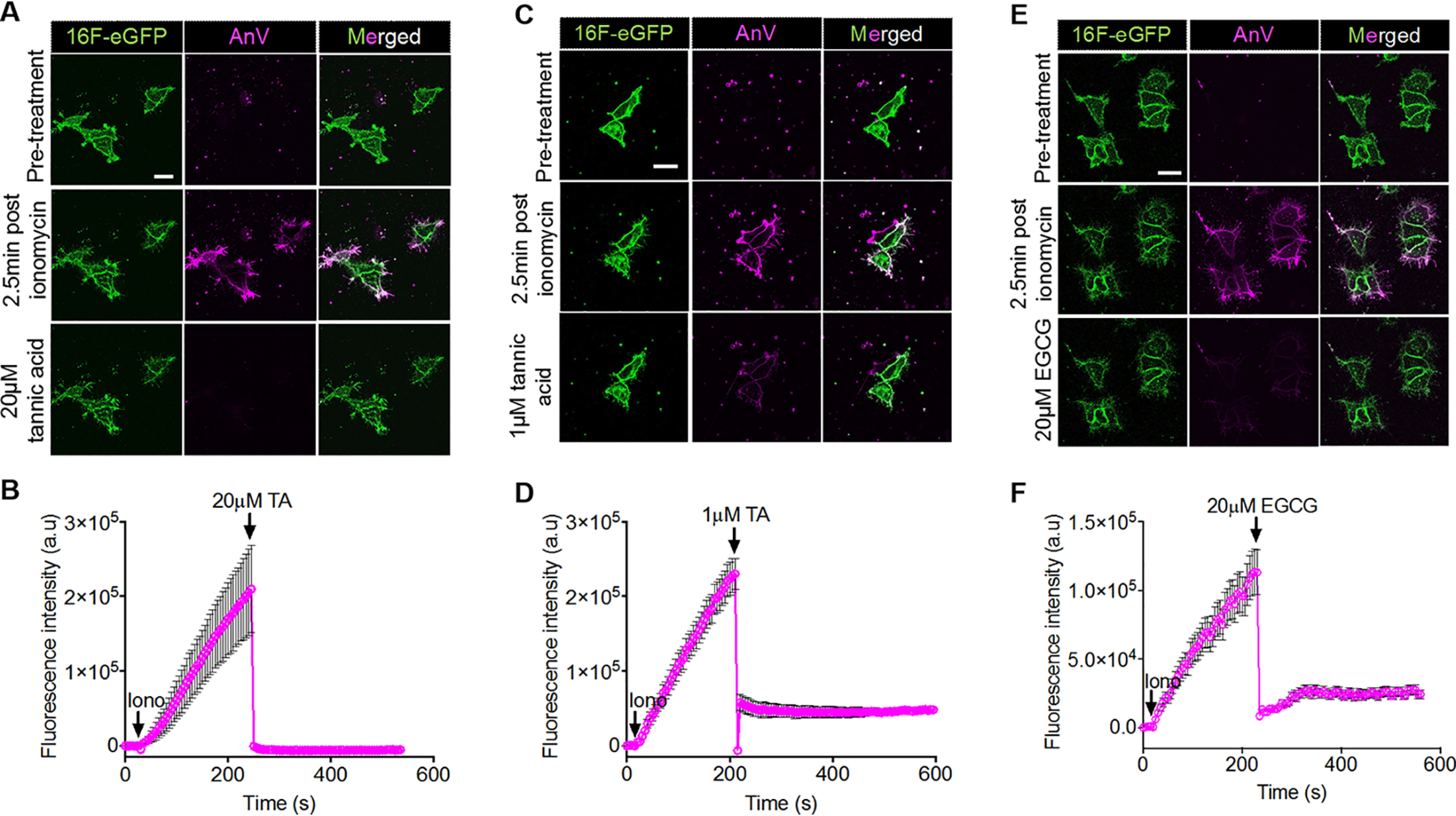 Figure 4.