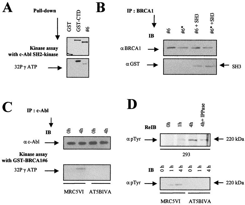 FIG. 6.