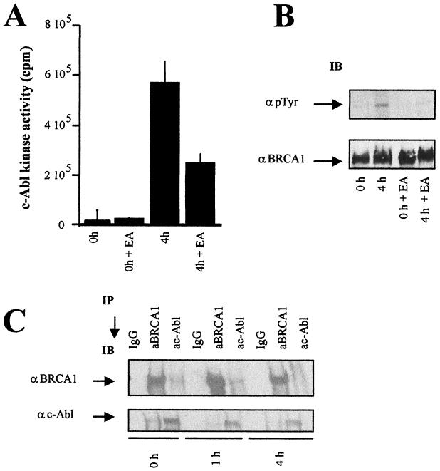 FIG. 7.