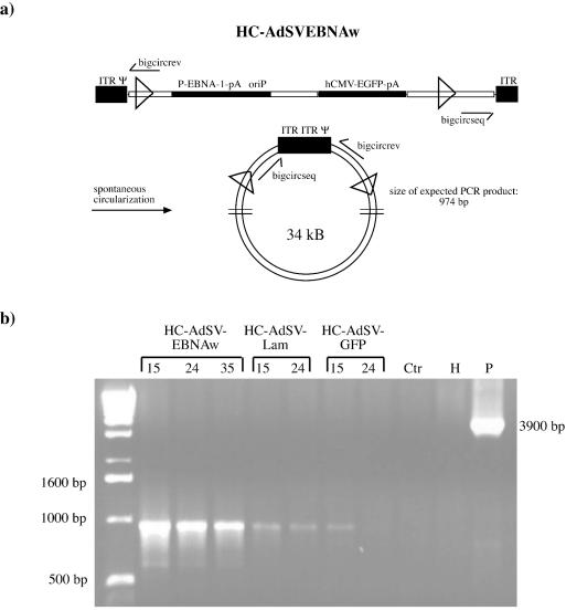 FIG. 9.