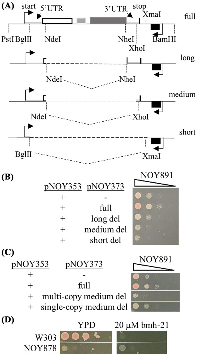 Figure 7.