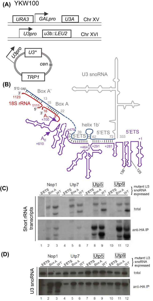 Figure 5.