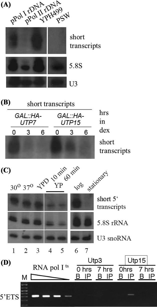 Figure 6.