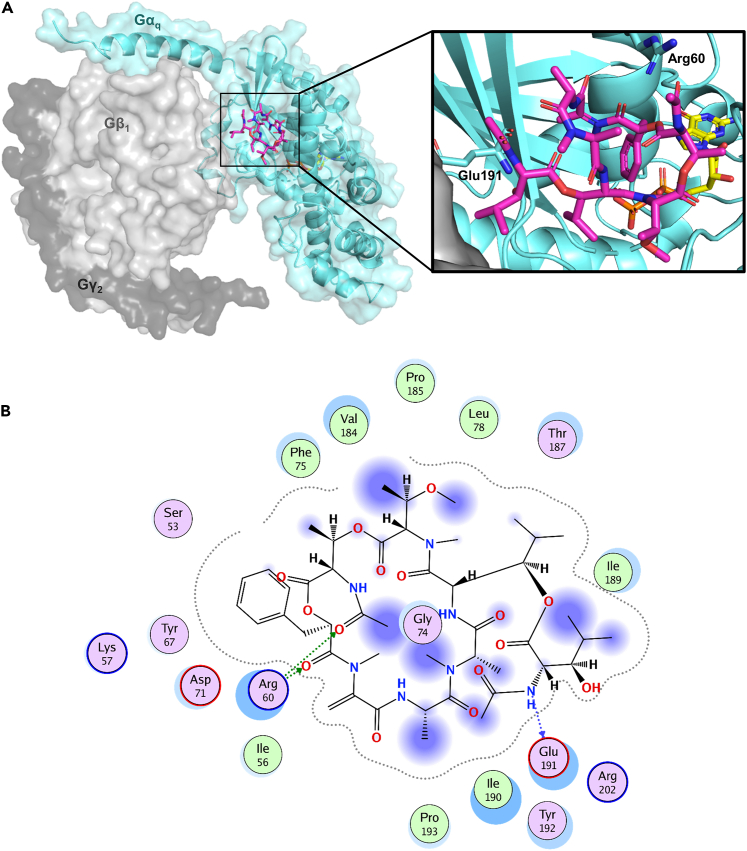 Figure 6