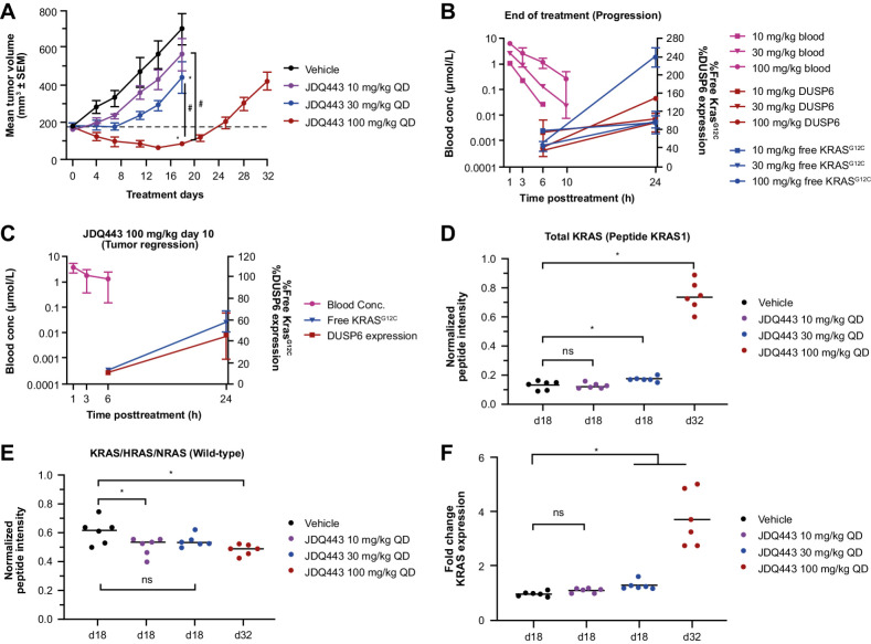 Figure 1. A, Lu99 xenograft tumor growth curves under JDQ443 treatment. B, JDQ443 PK and PD at end of JDQ443 treatment (day 18/day 32). C, JDQ443 (100 mg/kg once daily) PK and PD during tumor regression (day 10). D, Tumor KRAS protein levels (G12C and wild type). E, Tumor wild-type pan-RAS protein levels at end of JDQ443 treatment. F, KRAS mRNA fold change versus vehicle at end of JDQ443 treatment. *, P < 0.05 versus vehicle; #, P < 0.05 versus each other; ns, nonsignificant, P ≥ 0.05. QD, once daily.