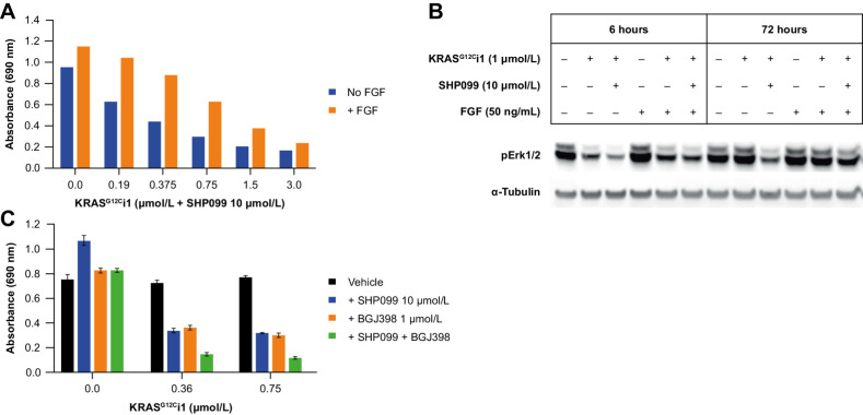 Figure 5. A and B, Inhibition of NCI-H23 colony formation (A) and pERK (B) under KRASG12Ci1 + SHP099 with or without exogenous FGF (50 ng/mL). C, Effect of FGFR1 inhibition with BJG398 on NCI-H23 colony formation under treatment with KRASG12Ci1 ± SHP099.