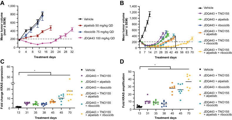 Figure 3. A, LU99 tumor growth curves for JDQ443, alpelisib, and ribociclib as single agents. B, Growth curves for JDQ443-based combination regimens. C and D, Fold changes versus vehicle in KRAS mRNA expression (C) and KRAS gene copy number (D) at end of combination treatment. *, P < 0.05. QD, once daily.