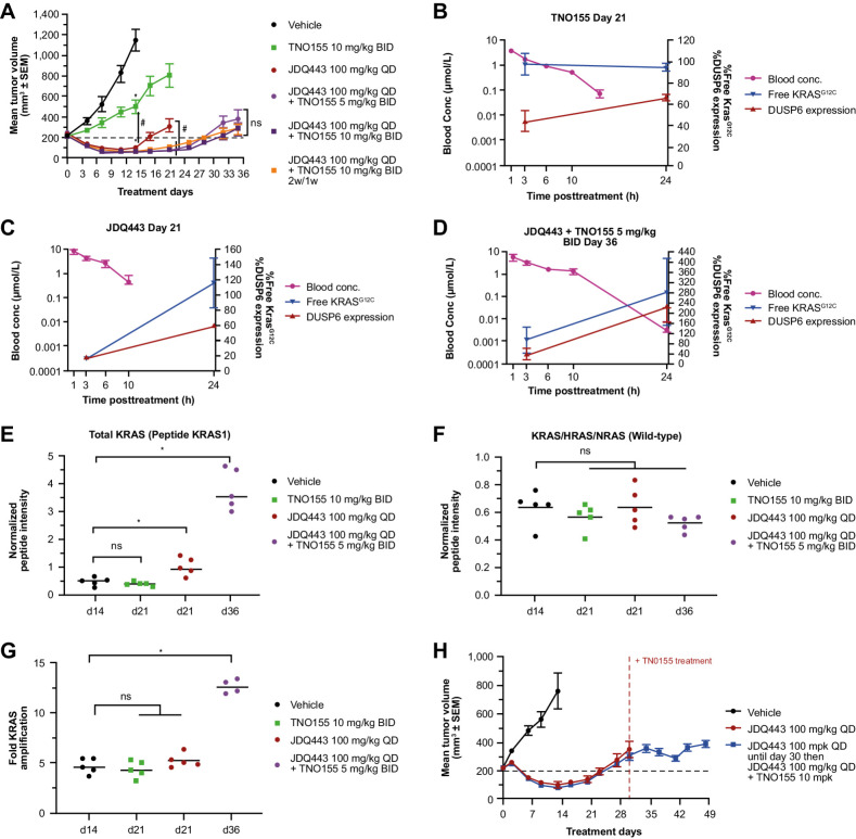 Figure 2. A, LU99 xenograft tumor growth curves for JDQ443, TNO155, or both. B–D, PK and tumor PD of TNO155 10 mg/kg BID, JDQ443 100 mg/kg, or both, at end of treatment period. E, Tumor KRAS protein levels (G12C and wild type). F, Tumor wild-type pan-RAS protein levels. G, Tumor KRAS gene copy number at end of treatment; H, LU99 tumor growth curves for JDQ443 + TNO155 dosed together from day 1 or following early tumor progression on JDQ443 as a single agent. *, P < 0.05 versus vehicle; #, P < 0.05 versus each other; ns, nonsignifcant, P ≥ 0.05. BID, twice daily; QD, once daily.