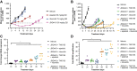 Figure 3. A, LU99 tumor growth curves for JDQ443, alpelisib, and ribociclib as single agents. B, Growth curves for JDQ443-based combination regimens. C and D, Fold changes versus vehicle in KRAS mRNA expression (C) and KRAS gene copy number (D) at end of combination treatment. *, P < 0.05. QD, once daily.