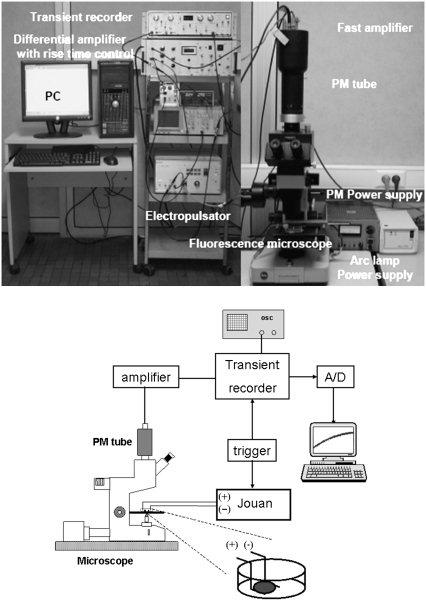 FIGURE 1