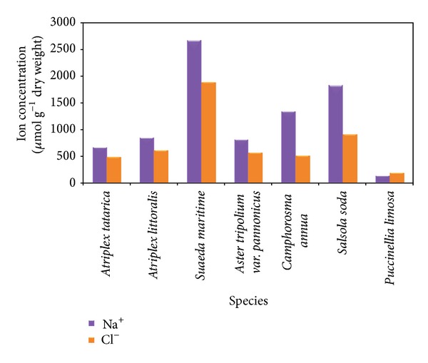 Figure 4