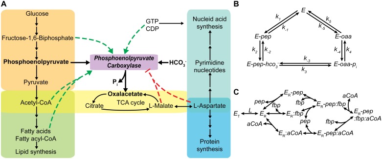 Fig 6