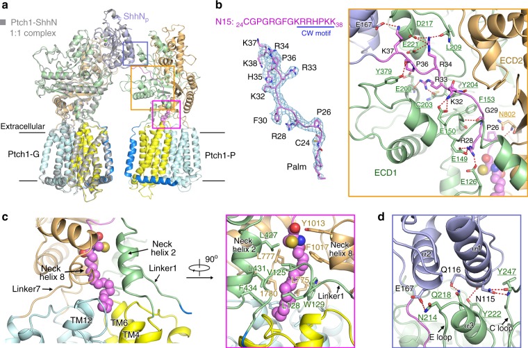 Fig. 3