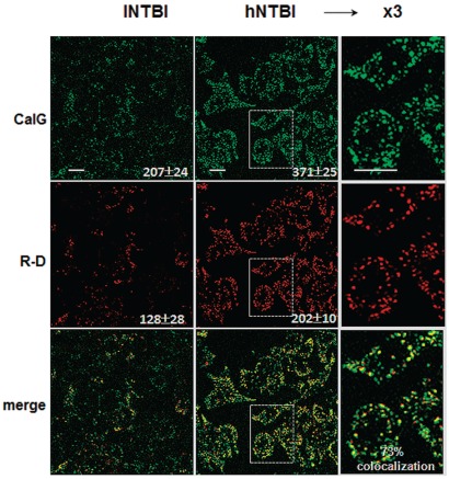 Figure 4.