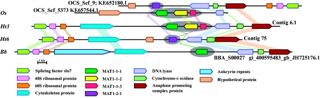 Fig. 2.—