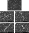 FIG 2
