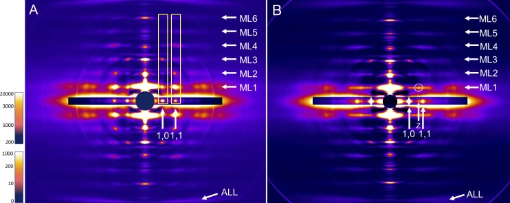 Figure 2.