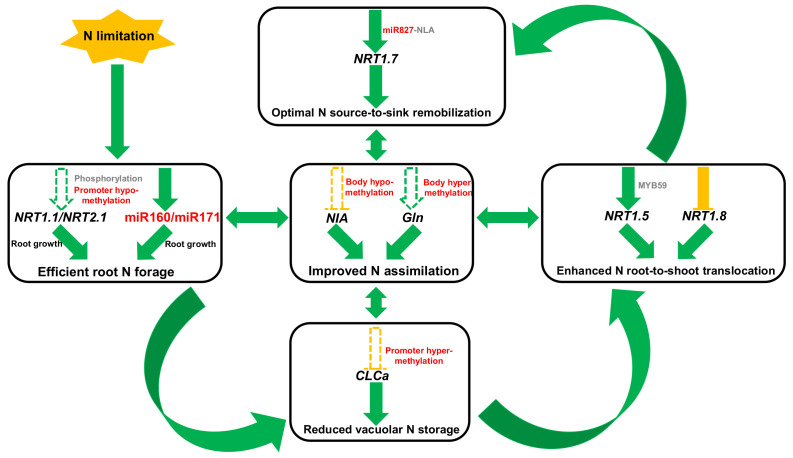 Figure 10