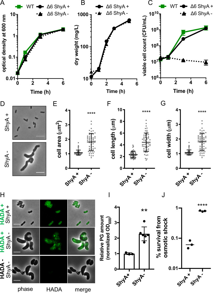 FIG 1