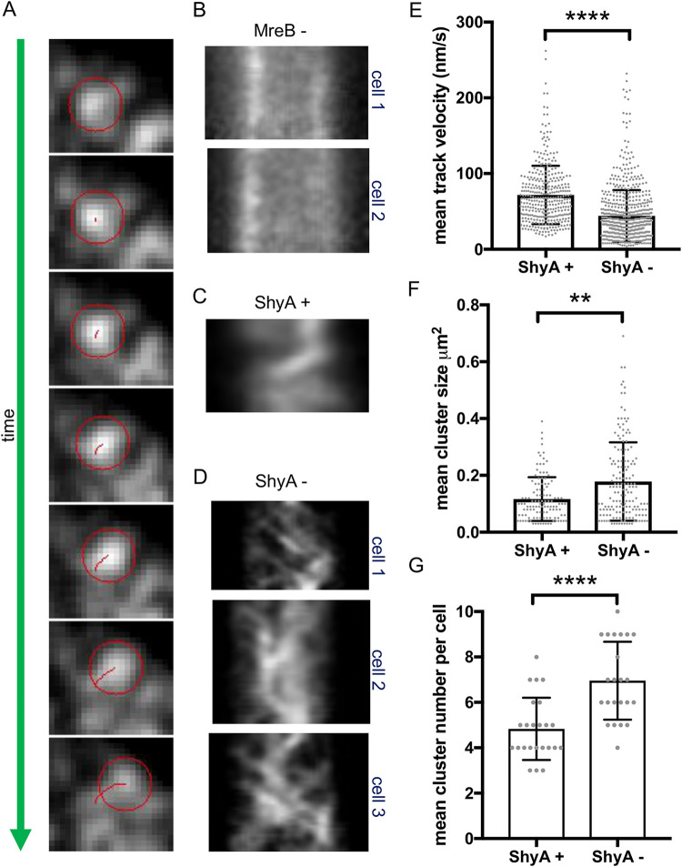 FIG 3