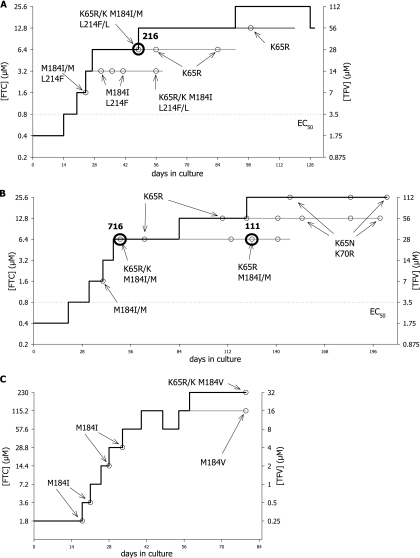 FIG. 1.