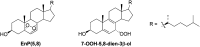 Fig.4.