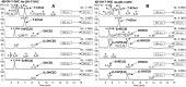 Fig.6.